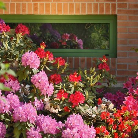 Villa Delle Ortensie Tavagnacco Luaran gambar